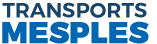 logo-mesples