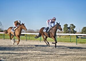 cavalier-cheval-piste.min